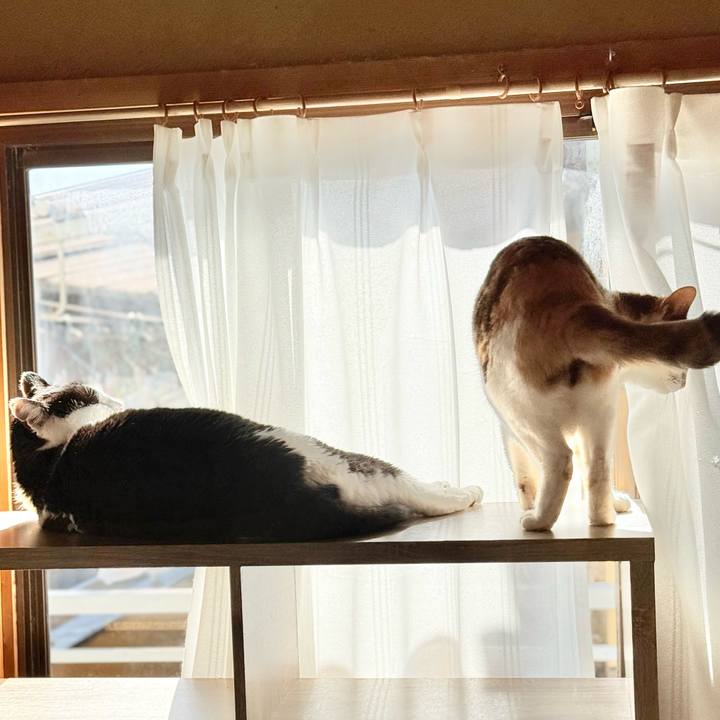 121d09ba 3b17 470e ab2f 18751bf83729 1772414709290