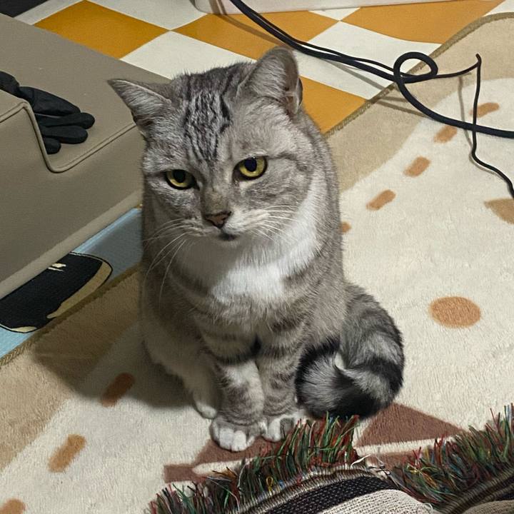 121d8307 fe85 4a3a add8 d622fc69a1e0 1734857123527