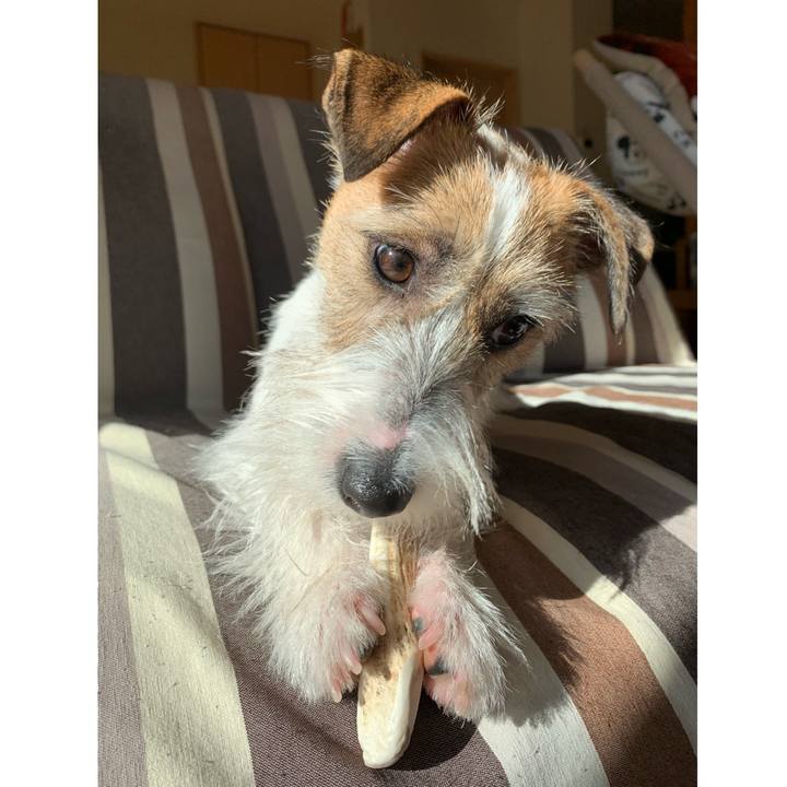 121da341 57a9 469a 80bf d058f0f92bde 1577964679298