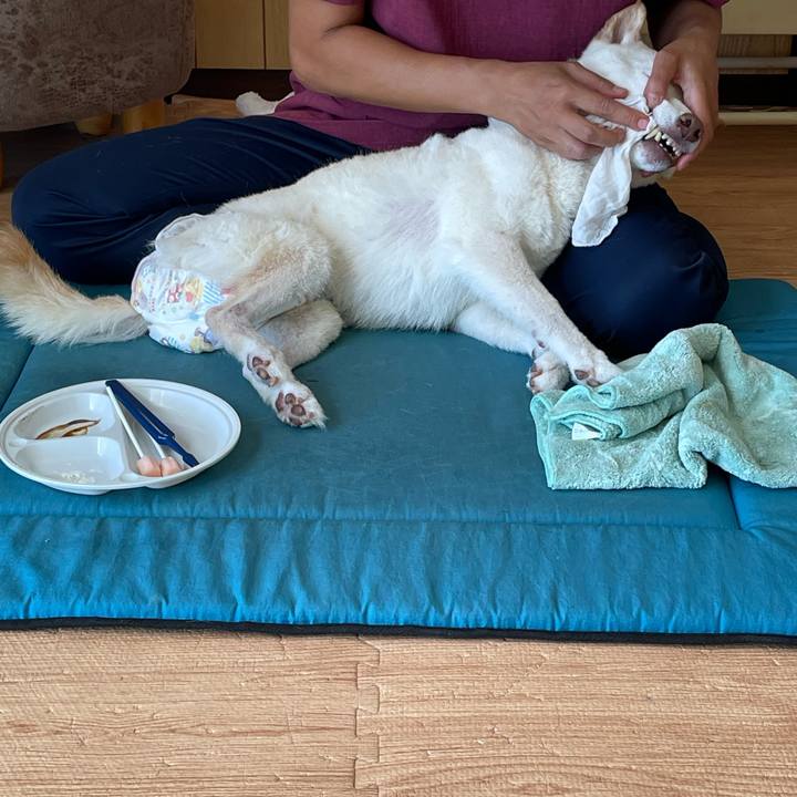 121e0cf4 48a3 4b1d a0e2 28d1865045d2 1663680035812