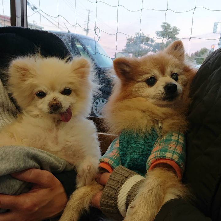 121e7906 5252 4f95 a565 b7107dc071de 1641988707433