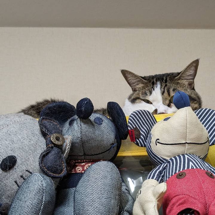 121e85cb 058d 4925 81a5 6923974825ba 1694412755890