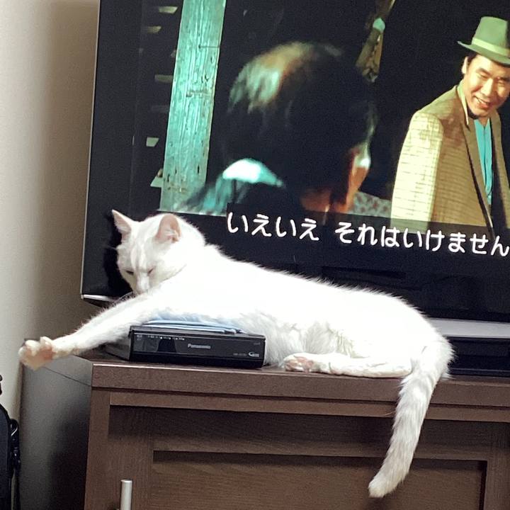 121e95fc f7f4 42b4 b20d ea526167683b 1684637091841