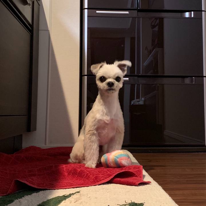 121eb5e3 5cd2 4bfd bbb7 f32487a32209 1555499187828