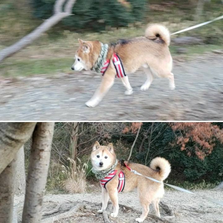 121ec76e d5e3 46a6 9cc1 651dae4a991b 1676082567939