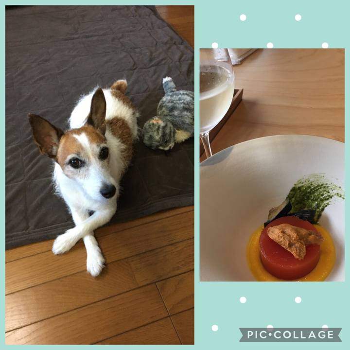 121eca84 6d76 4b9b 916f dec2eb542c9a 1628204220663