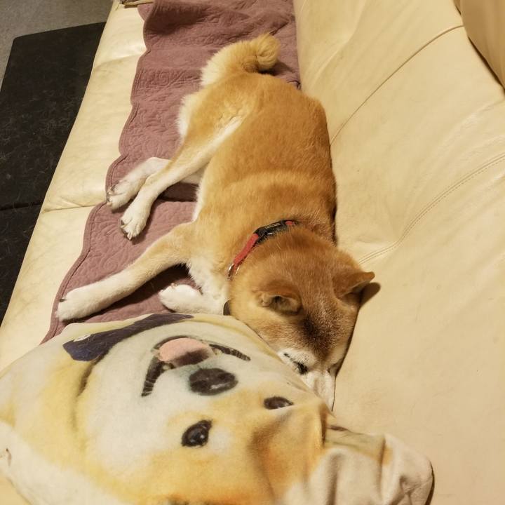 121eeeb3 45ae 4c02 814d 85882b06f626 1756116260654