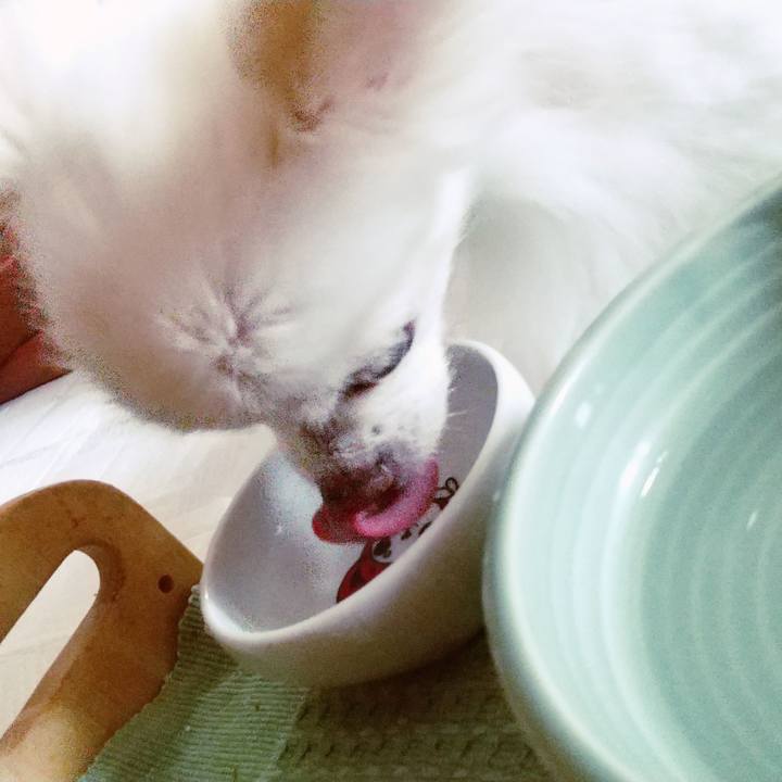 121ef0fc d8ce 437b 9fab 3a66c7b8472f 1599036756918