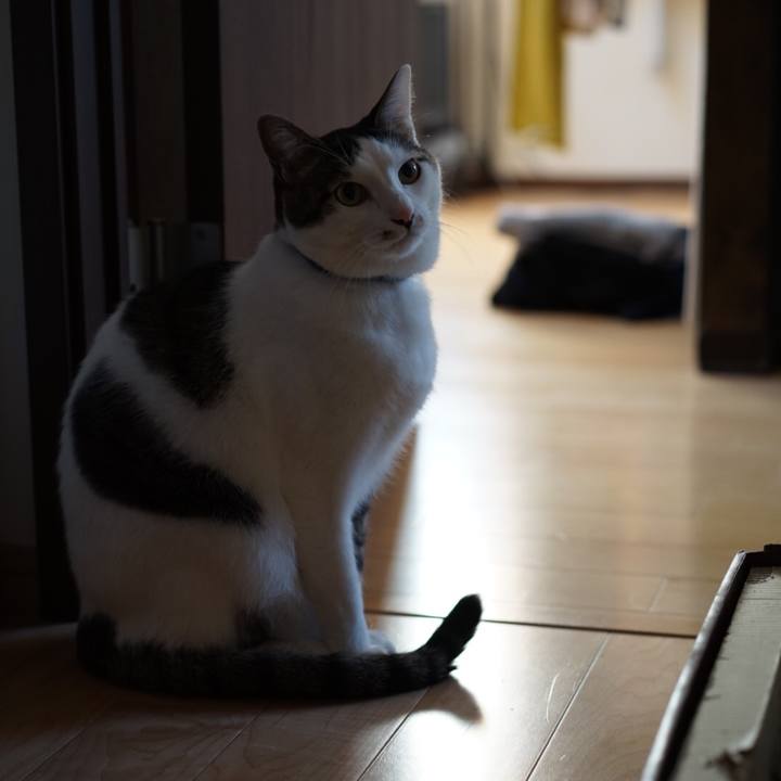 121ef9e1 d72c 4954 bf57 67d75d88e03c 1548113728809