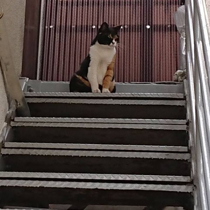 121f0321 93da 4050 9b04 a1a478d70274 1627444474317