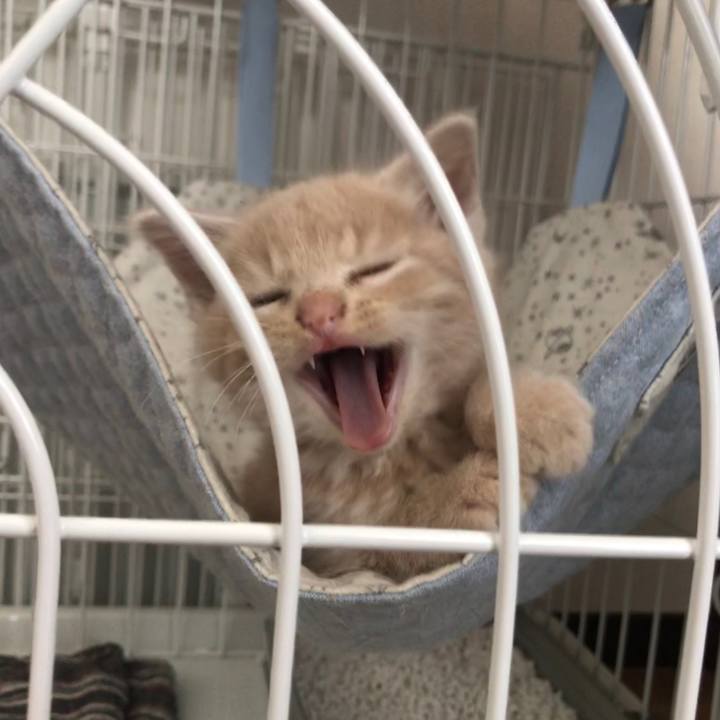 121f1d6b 5d7b 45cc 9fec 5c9bc7d57328 1540726184315