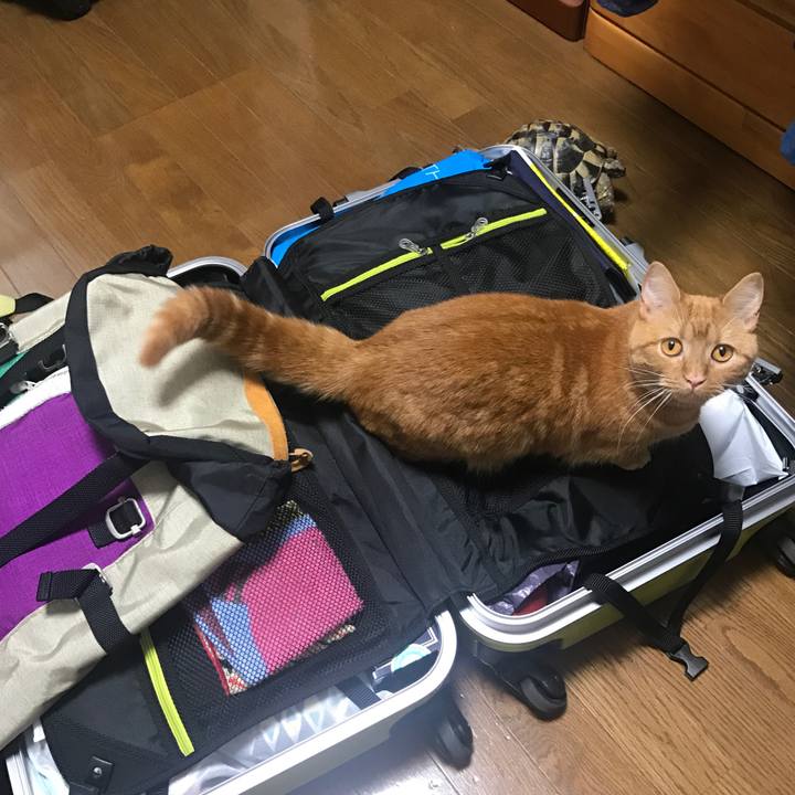 121f3e3e cd2e 49d5 9020 d30c020bf4e1 1525078188527