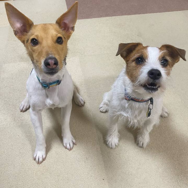 121f90f2 1db5 4dfc 9e7b 990f3c2158b6 1773144257418