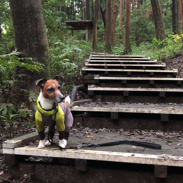 121f9dba e09f 48e5 98a0 ed8775438c01 1601506172687