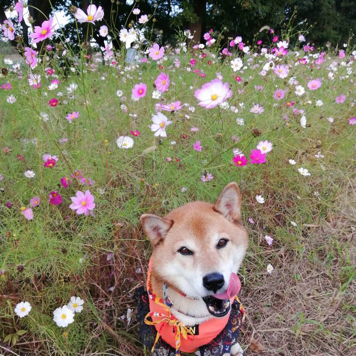 121fc83b 01bb 4ddc bbd9 2bf20ba1f1da 1666177185218