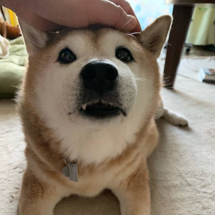 121fe98d 10c4 47e8 b4bb 08589299e3f7 1569279593418