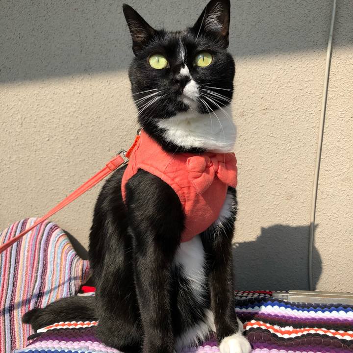 122011de d513 4dd5 a18f baabec9941aa 1521940293113