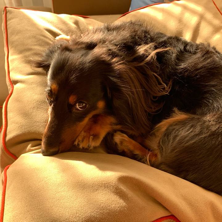 122020d9 c5e5 41fc 866f 8c58cd96a41b 1599461198734