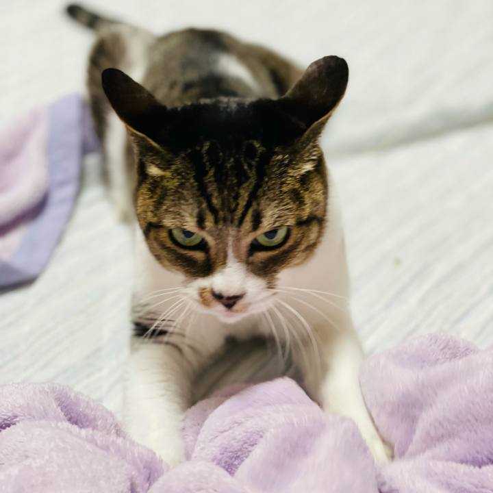 12204d24 980f 433a a958 99ad6ce71add 1605404105711