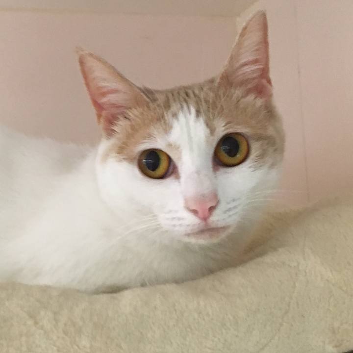 1220aa77 3bbc 4694 9a86 faf3a332ed30 1527064800763