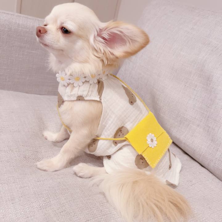 12210199 1202 40bb b6e0 932f8dc65f90 1690886643654