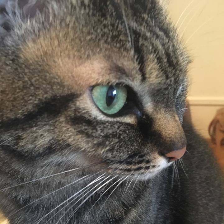 12212167 77ac 4946 aa61 79f476b659ae 1578968263064