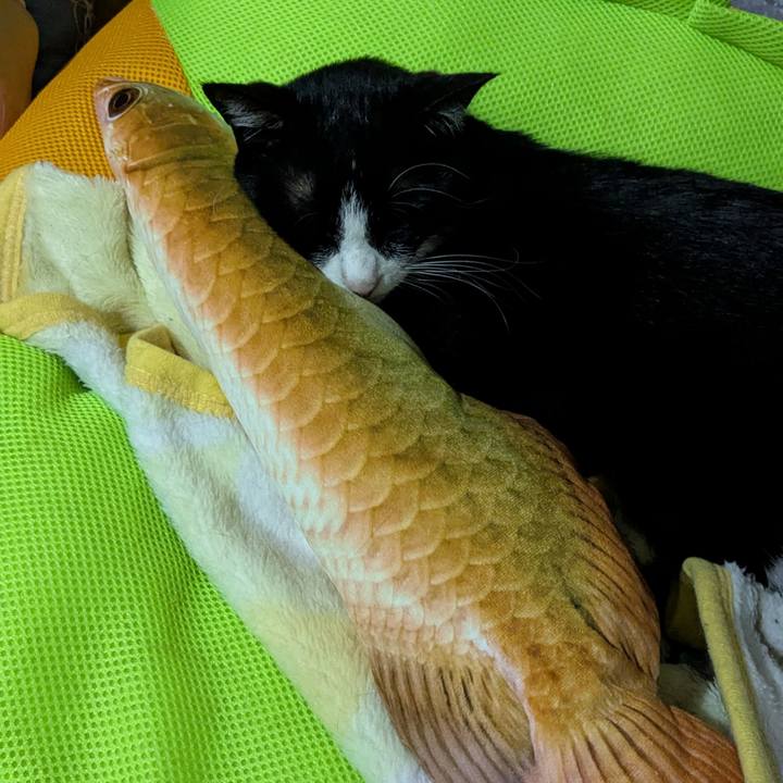 12213ceb 5634 4e37 9696 57ca70eb4847 1749656213616