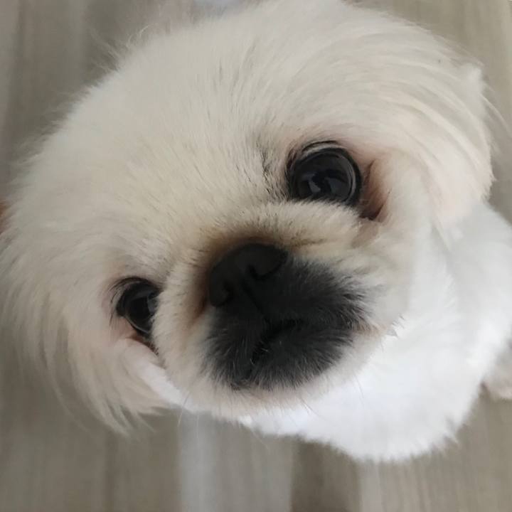 12214688 c7ca 4334 b485 c68d04567036 1527379395726