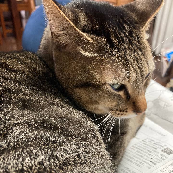 12214ff3 41ed 4c14 97a2 8157e9aaf60a 1765751882260