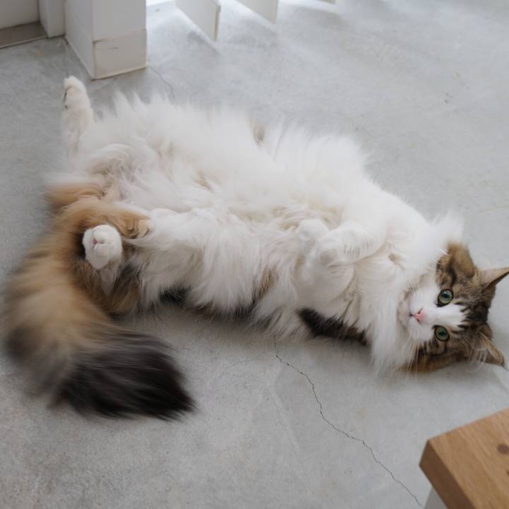 1221581c b8ad 4e2f 9bc3 906c458132d8 1555059968348