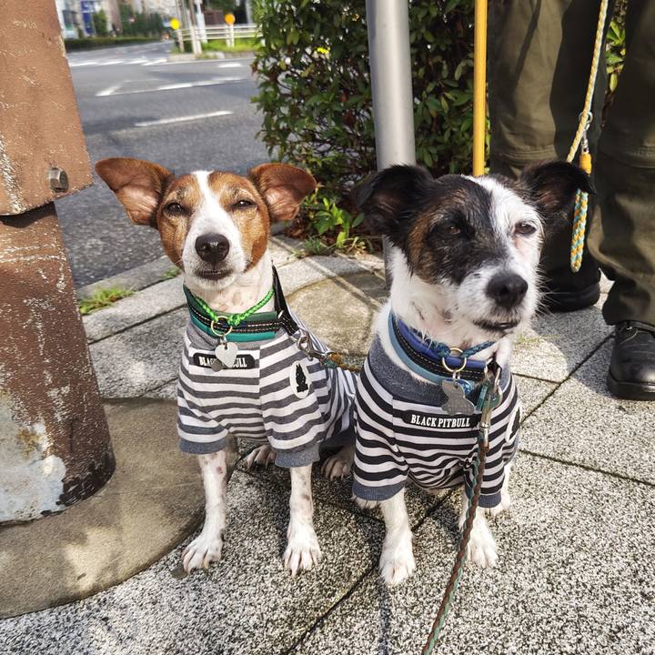 12217d4e f901 4fcc 9f30 0af0833ad0ad 1721513272336