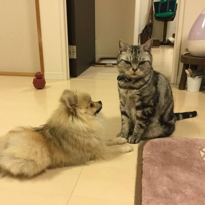 122183c0 bf23 4541 8732 2fa7a6a4fbd3 1525339339507