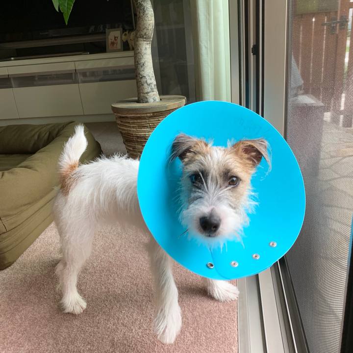 1221971a b8ad 4be3 9f33 cf969a3ad7f8 1569456808263