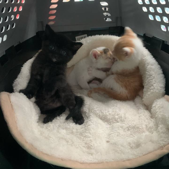 122197bd b627 41bd 8a87 cf1130e13cf1 1634452246223