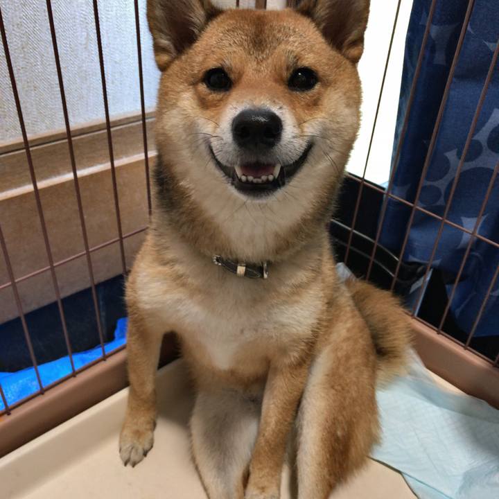 12219d8c 519d 425b 87b3 77ac06d38545 1533031129250