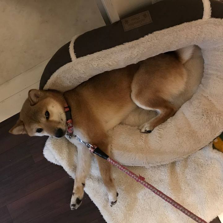 1221a925 383b 4d6e aa59 53afecb496ae 1516676066508