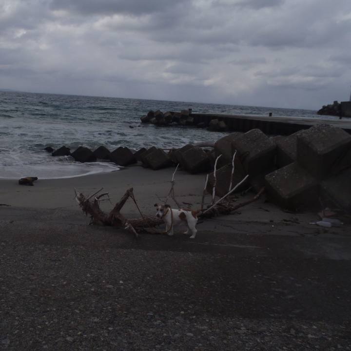 1221b337 b596 465f 8e7d e6d53d16f83b 1545825306942