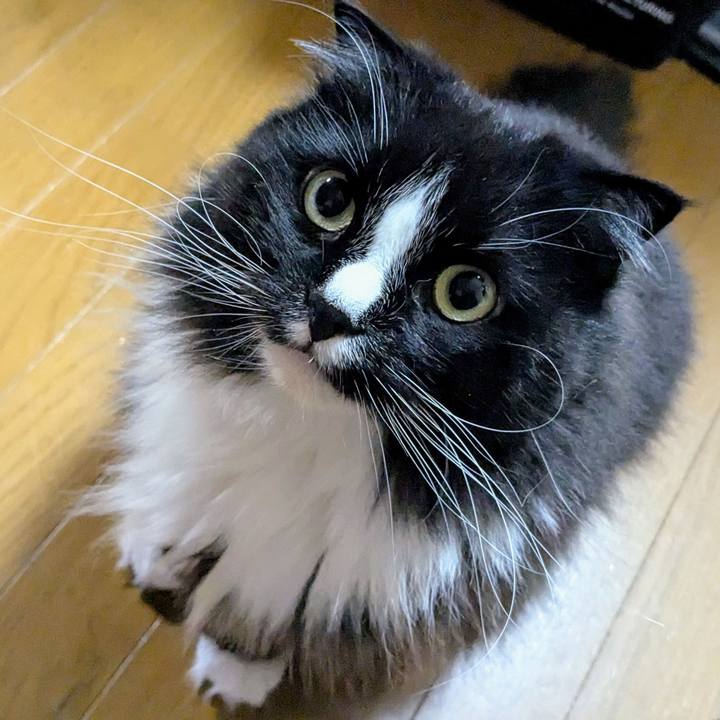 1221bc44 bc60 40fa 9c1a 79917fe674e8 1748812773702