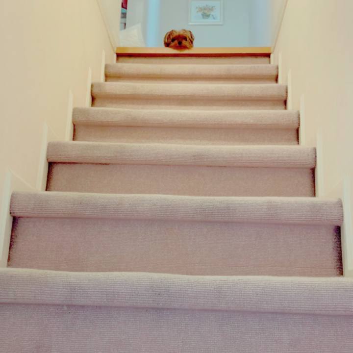 1221c375 3398 4e74 85fb 1a4442672525 1597180770954