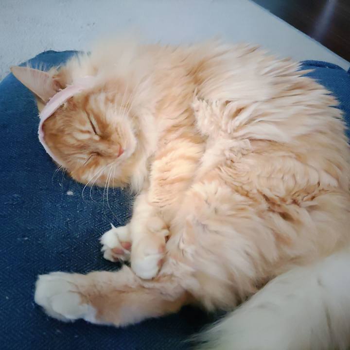 1221ce07 0ac9 4016 ab63 aac470ff50e4 1683177700685