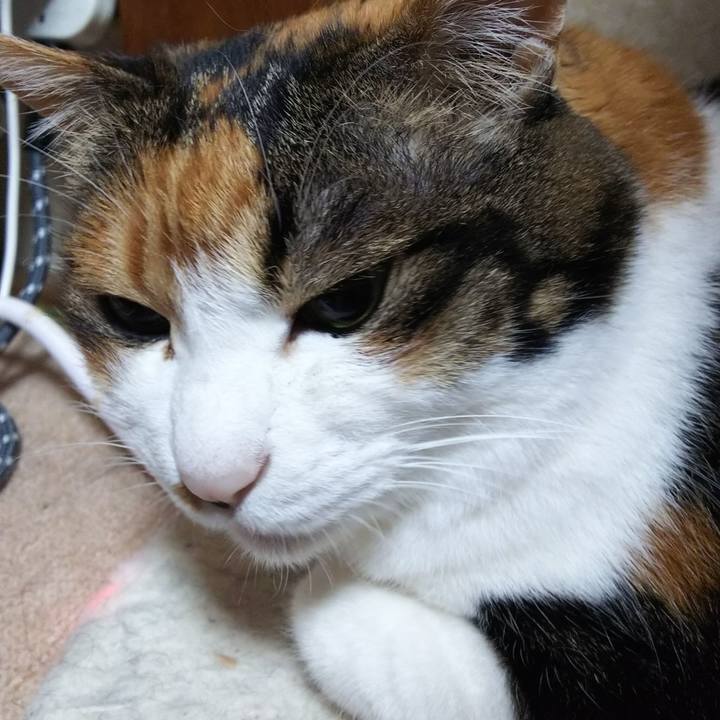 1221ce6d e97d 4f15 9a22 564443c30df7 1553205873007