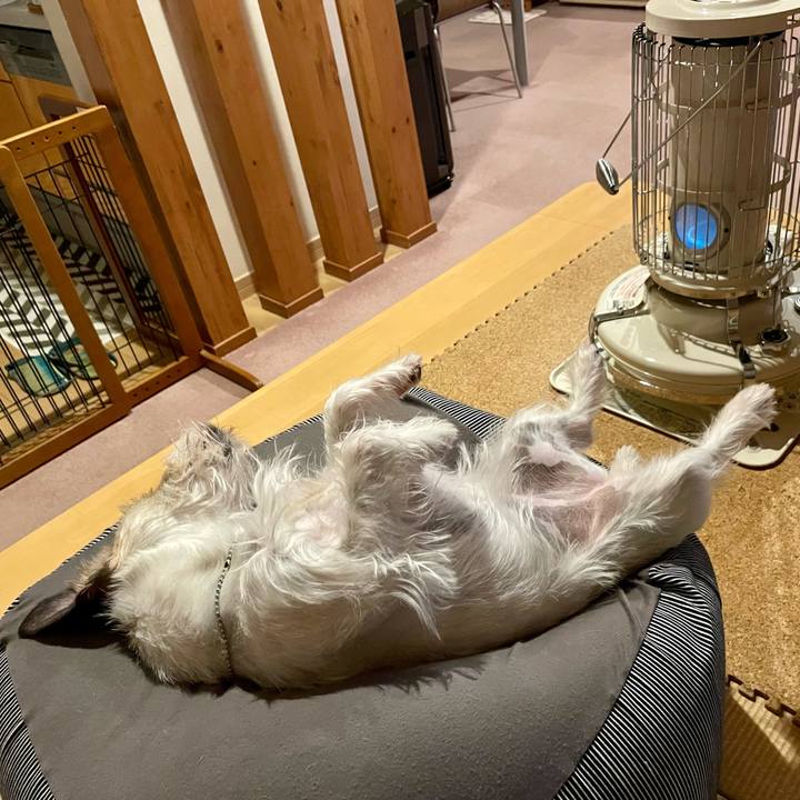 12224935 c5cb 4b68 aa4b 7db73ad93ffb 1647784156981