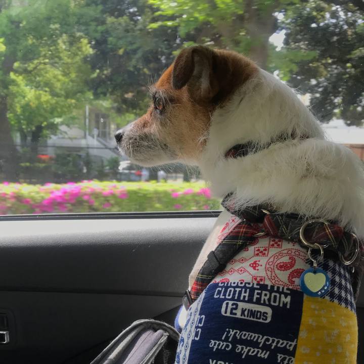 12225728 d1c5 42da 983f 5df388ed2ac7 1524961147094