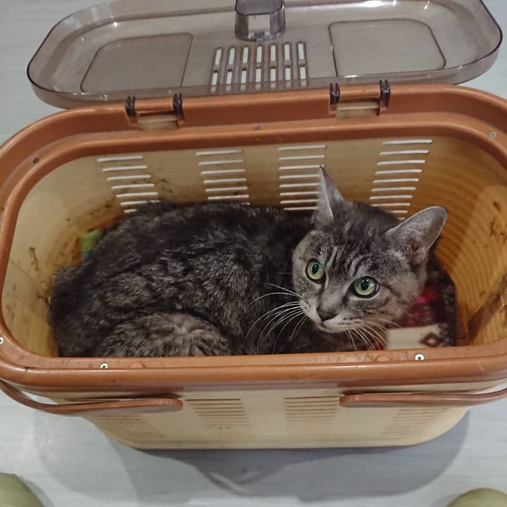 12225d54 9795 4da8 bbe8 759ab31f1f4f 1584169178825