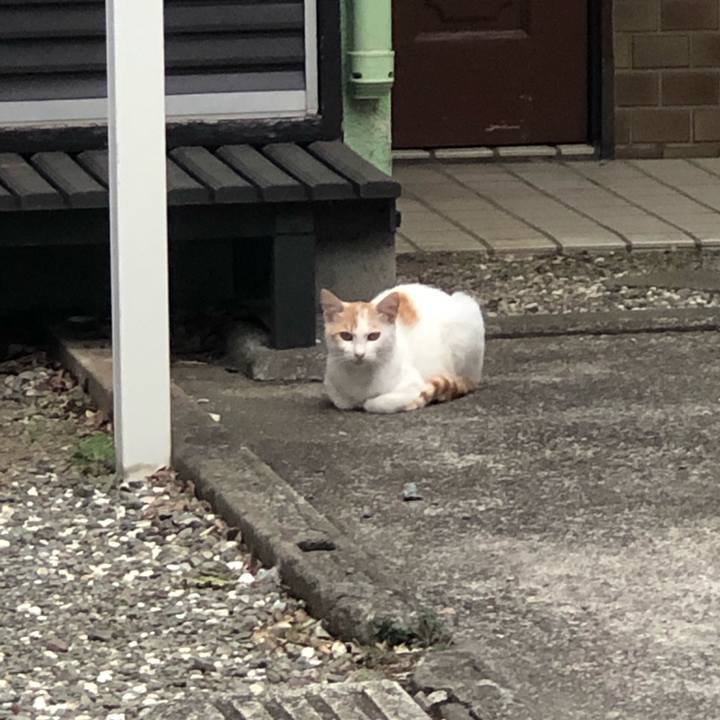 12226b33 6b0c 4c66 8d28 4ce4e050f61b 1589534021373