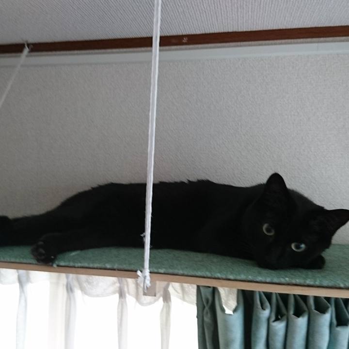 12226cf5 3c13 4353 83d9 40632ca49654 1553213128634