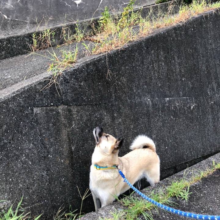 122294e9 29fd 4ec1 b1ce a12d977c79cf 1599305084259