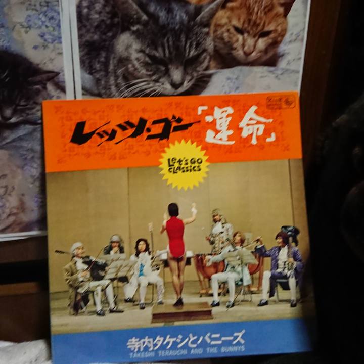 1222bc39 d889 46a3 98ee 75a45524e2ef 1624188437565