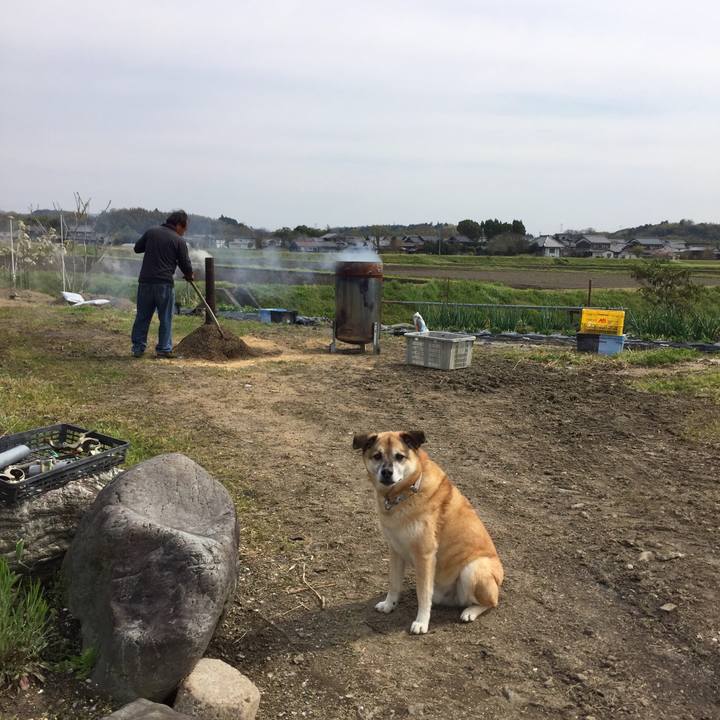 1222d06b 880f 406d a70a c00c678a14ba 1586932440480