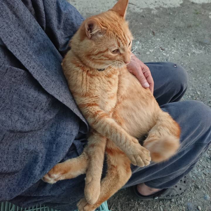 1222eca3 6435 4a68 85f6 ff6129066cb6 1661375888256